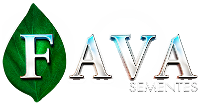 Fava Sementes